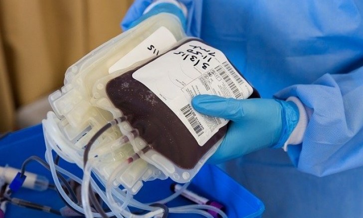 El plasma de curados por COVID-19 podría ayudar a pacientes críticos