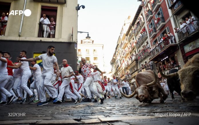Toros_AFP