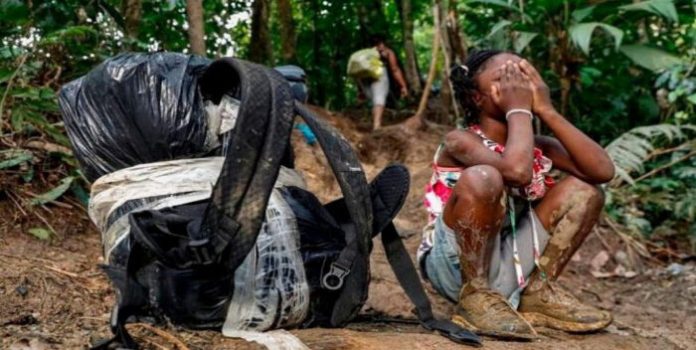 Al menos 14 venezolanos han muerto en la selva del Darién en 2022
