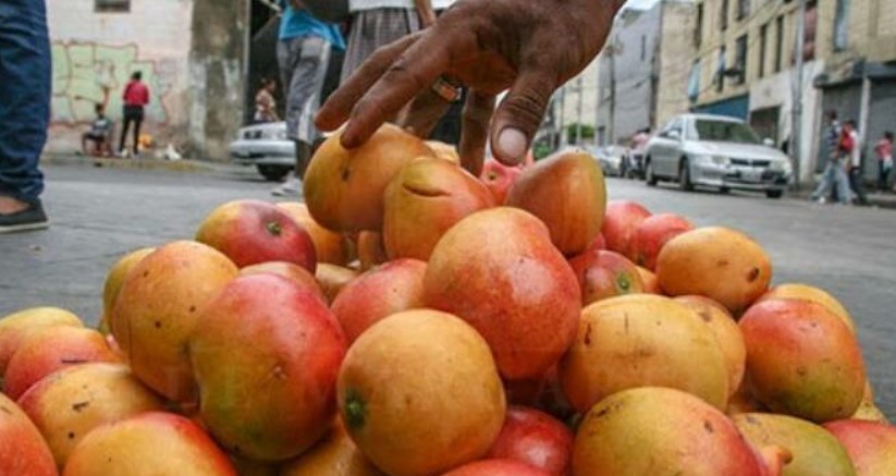 A menos de un dólar por kilo se dispara la venta del mango en el país
