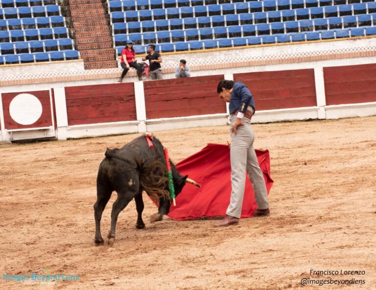 Exitoso debut de alumnos de la Escuela Taurina frente a novillos de Rancho Grande