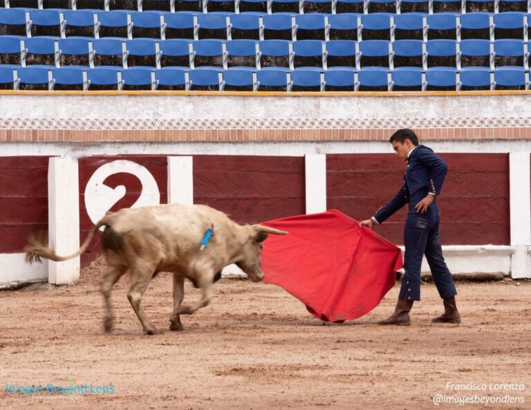 De toros y corridas