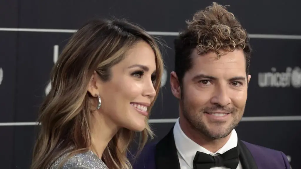 David Bisbal sobre su esposa Rosanna Zanetti: ''Lo primero que aprendí fue a hacer arepas''
