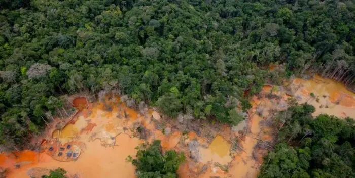 Venezuela perdió el 28% de sus bosques en la Amazonia por el cambio climático