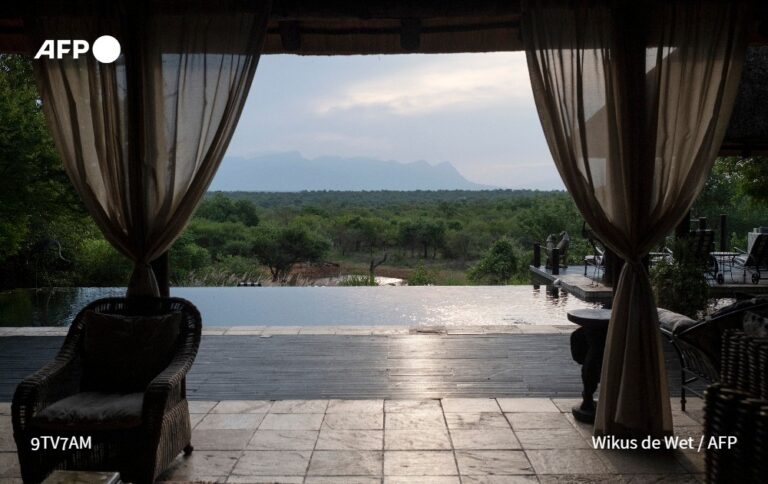 Ómicron devuelve a los safaris de Sudáfrica a la casilla de salida