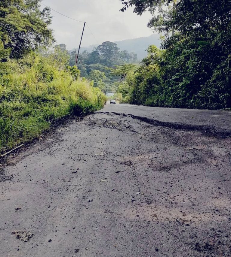 Denuncian fallas de borde y enormes baches entre La Jabonosa y Michelena