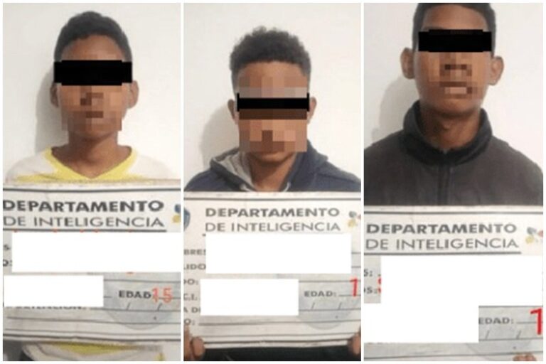 MP imputa a tres adolescentes por prender fuego a un gato
