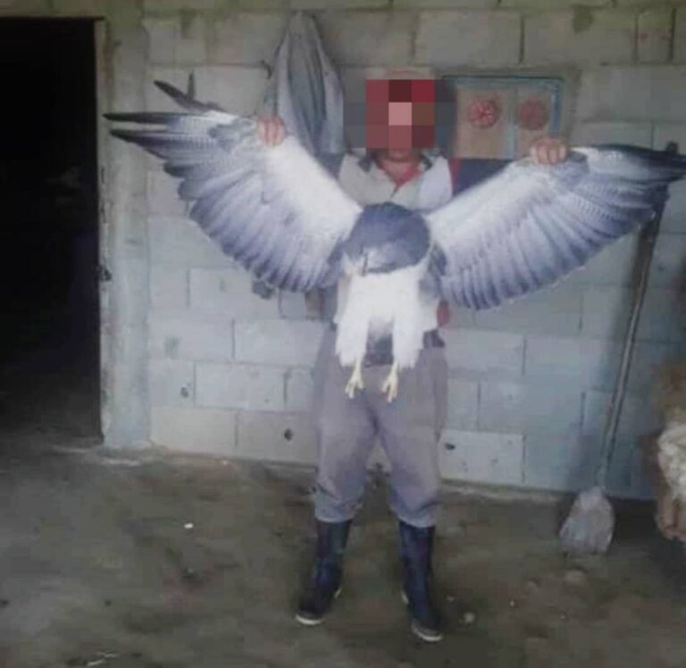 Hombre que se fotografió con un águila real muerta cumplirá trabajo comunitario