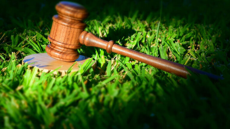 Clima21 anuncia la creación del Observatorio de Derechos Humanos Ambientales