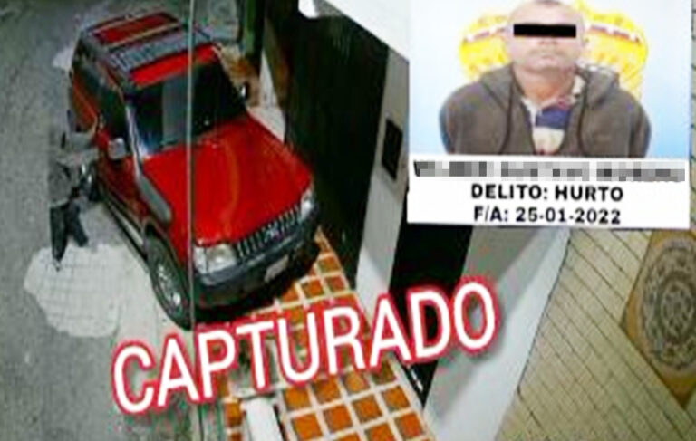 Fue grabado mientras hurtaba en una camioneta en Táriba