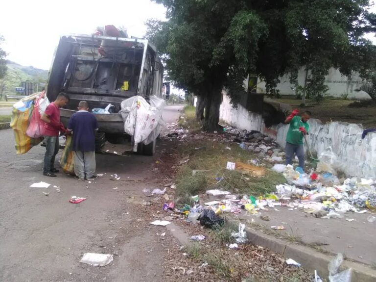 Alcaldía de Cárdenas ha recolectado más de mil toneladas de desechos