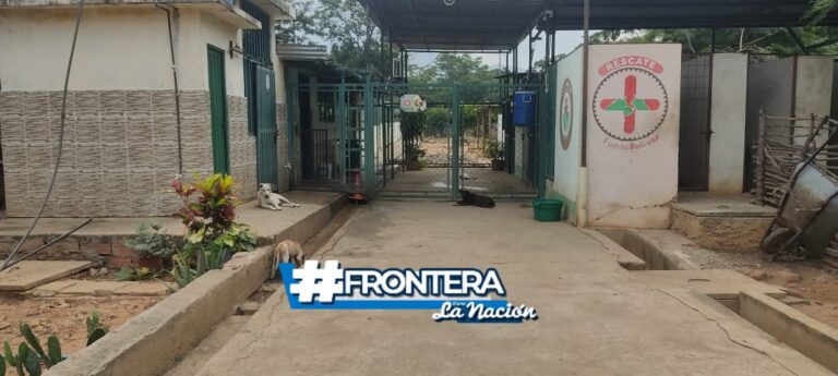 Sin alimentos los perritos del refugio de la frontera