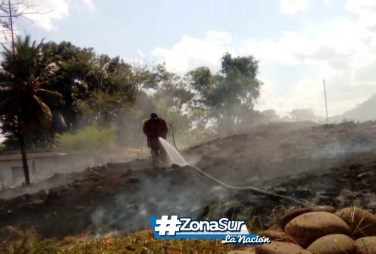 Incendio de vegetación en La Morita puso en riesgo algunas casas