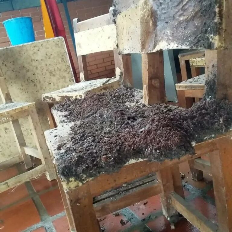 Escuela de Umuquena convertida en guarida de murciélagos y roedores