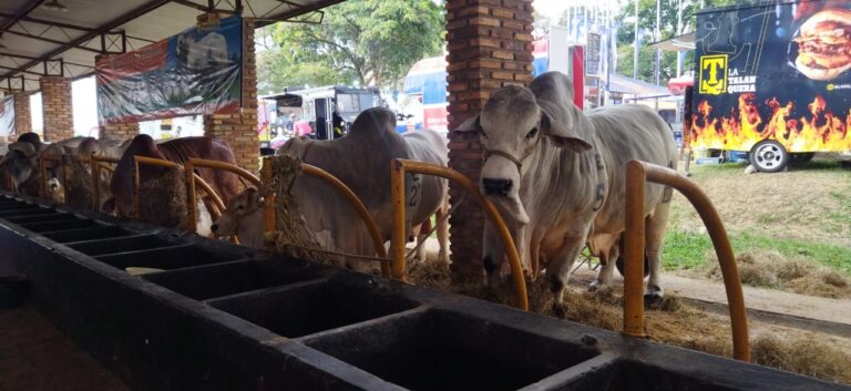 Afinan preparativos para inicio de campaña para erradicar la fiebre aftosa