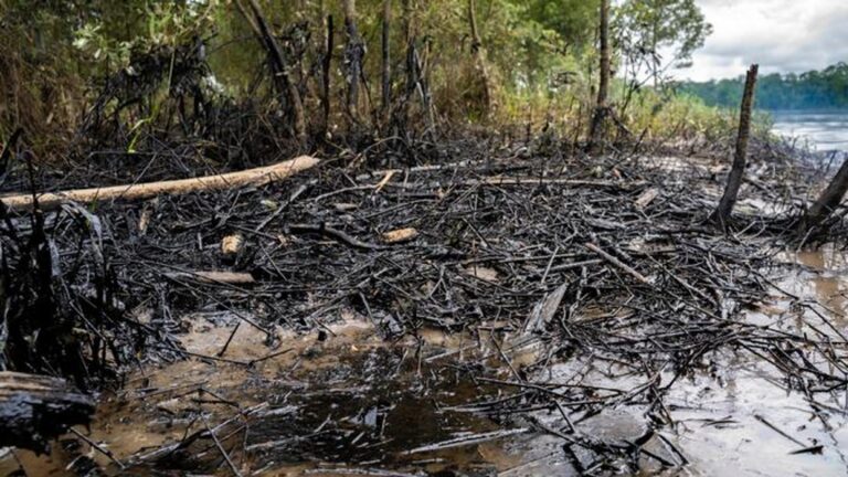 Derrame petrolero afecta reserva ambiental en Amazonia ecuatoriana