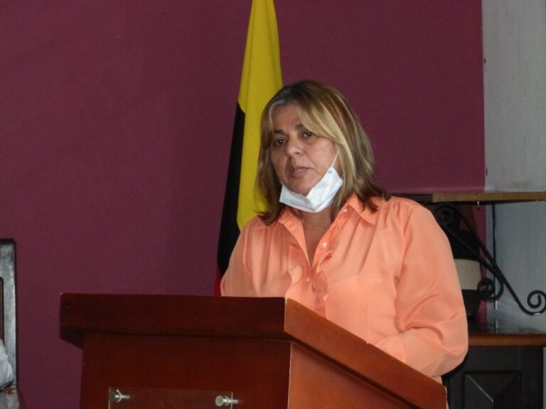 14 ordenanzas nuevas aprobó Cámara Municipal de Gúasimos 