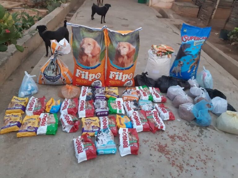 Arribaron alimentos al refugio para animales en la frontera