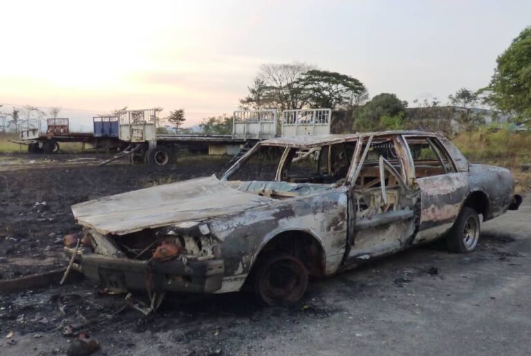 Incendio de vegetación arrasó con un vehículo y seis bateas en El Piñal