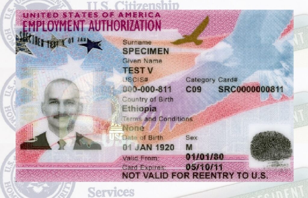 Los 6 tipos de inmigrantes a los que USCIS facilita Autorización de Empleo en Estados Unidos