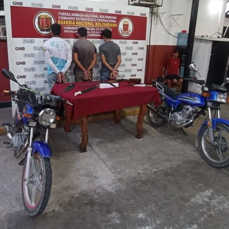 Desmanteladas por fuerzas militares dos bandas de delincuencia organizada