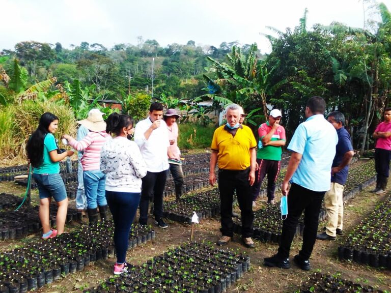 Productores de Junín aspiran  reactivar el sector cafetalero