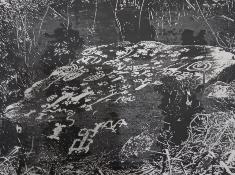 Importante petroglifo de Colón será desenterrado para investigación arqueológica