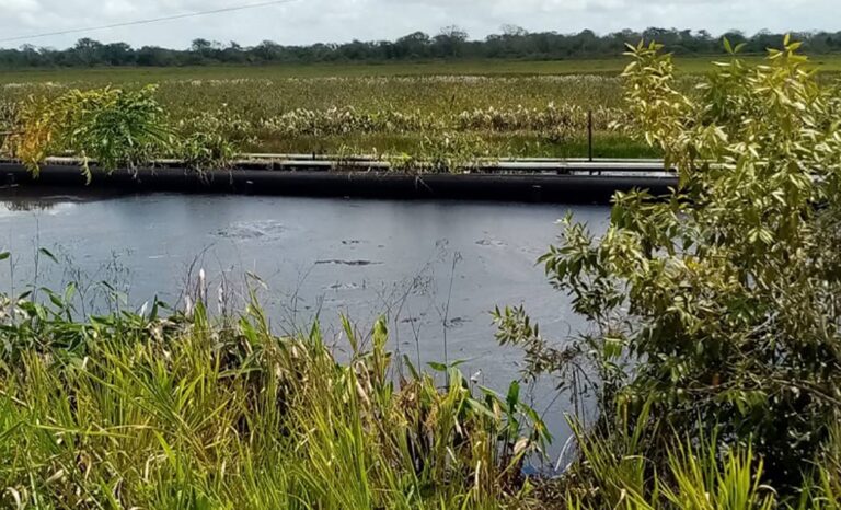 Nuevo derrame de petróleo en río Amana amenaza a balnearios y zonas agrícolas de Monagas