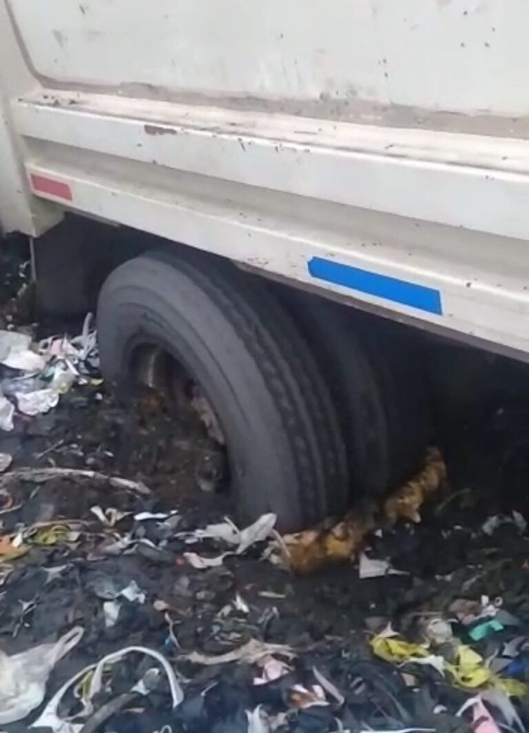 Cerrado el vertedero de Ureña por las lluvias de las últimas horas
