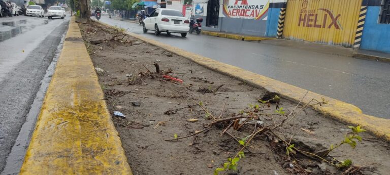 Piden que se repongan las plantas dañadas en la avenida Venezuela durante desfile del carnaval