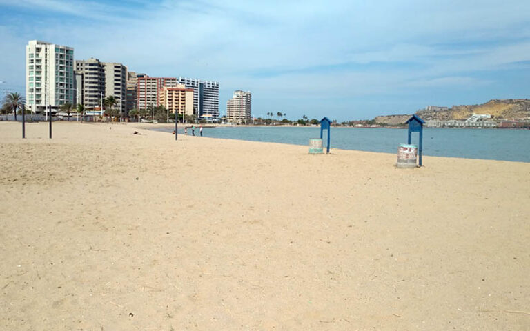 Playas de Lecherías serán reabiertas progresivamente