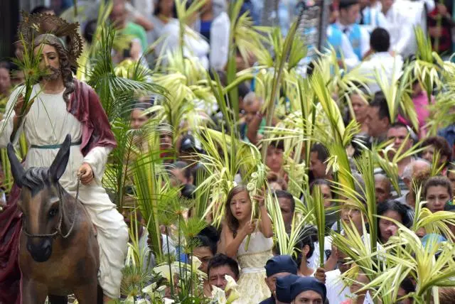 Domingo de Ramos: Jesús es aclamado con alegría como el Salvador