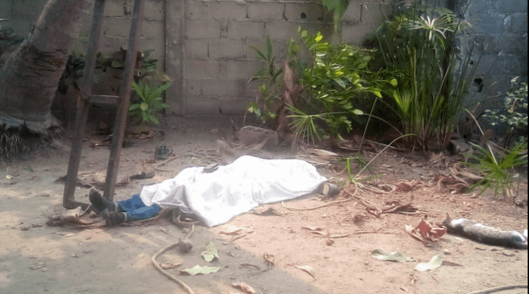 Un hombre murió al caer de una mata de coco en Barinas