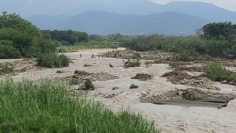 Desafían el caudal del río Táchira