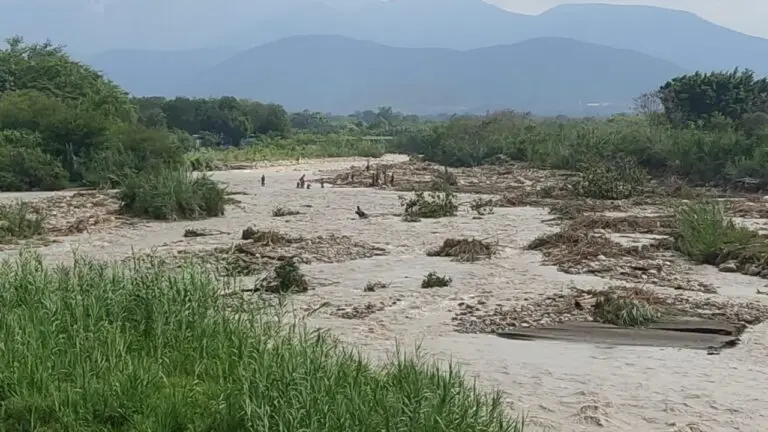Desafían el caudal del río Táchira