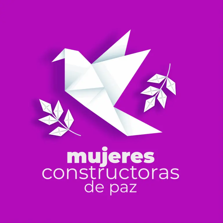 Mujeres sin leyes: derechos sexuales  y reproductivos no son garantizados