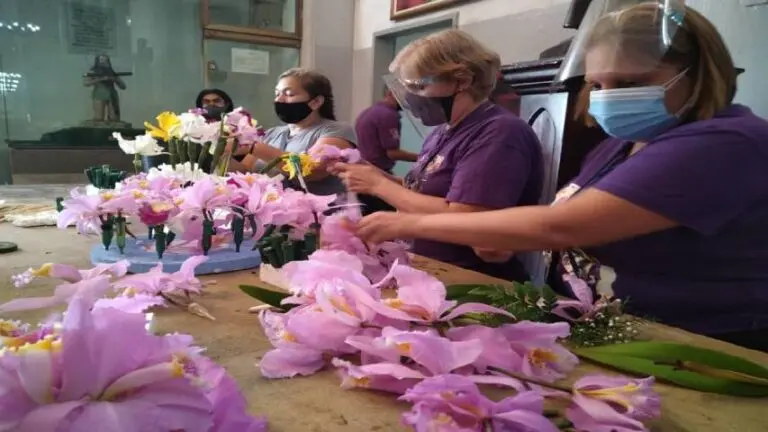 Estiman recolectar más de seis mil orquídeas para el Nazareno de San Pablo