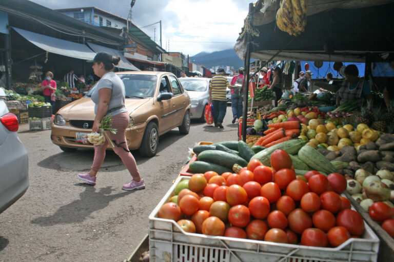 Aumenta el precio del tomate