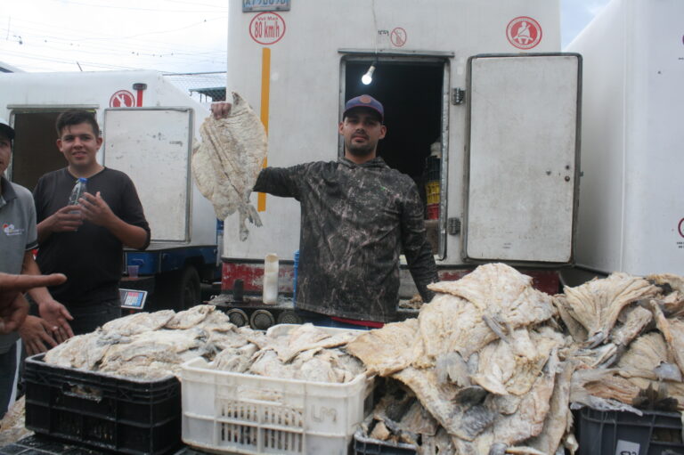 Estabilidad en precios del pescado