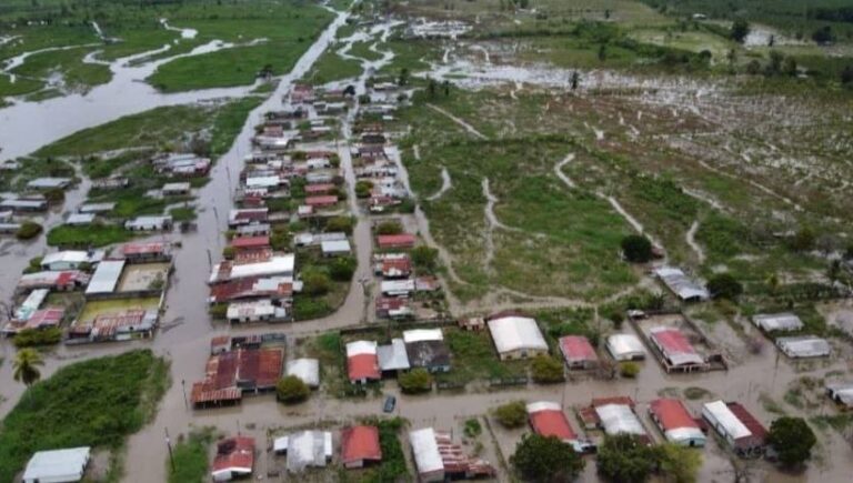 Productores agropecuarios movilizan el ganado de las fincas al sur del Zulia tras las inundaciones
