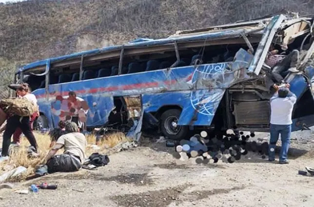 El fatídico accidente ocurrió en la carretera entre Oaxaca y Cuacnopalan (Foto: Cortesía)