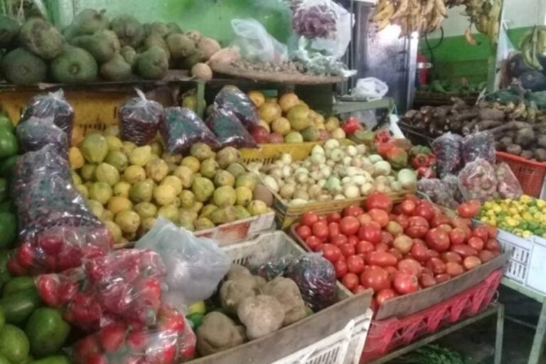 “Familia venezolana debe tener un ingreso mensual de 2.260 dólares”