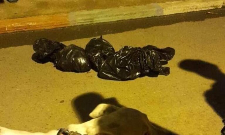 Hallan tres cabezas en provincia de Ecuador