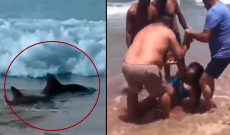 Joven de 15 años pierde un brazo en brutal ataque de tiburón