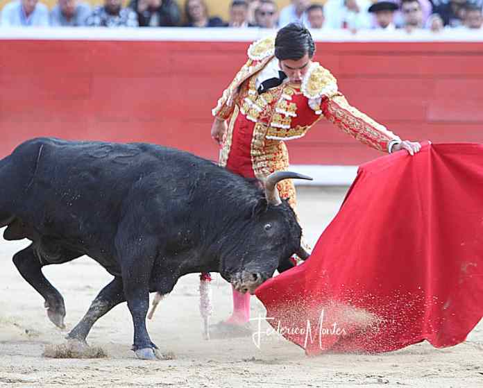 Profundo natural del diestro venezolano a Madrileño de la Ganadería de San Antonio.