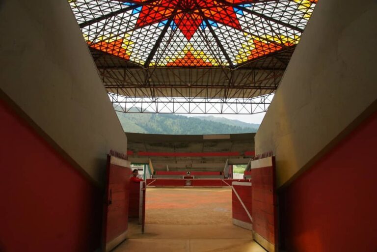 Venezolanos asoman la cabeza en Tovar