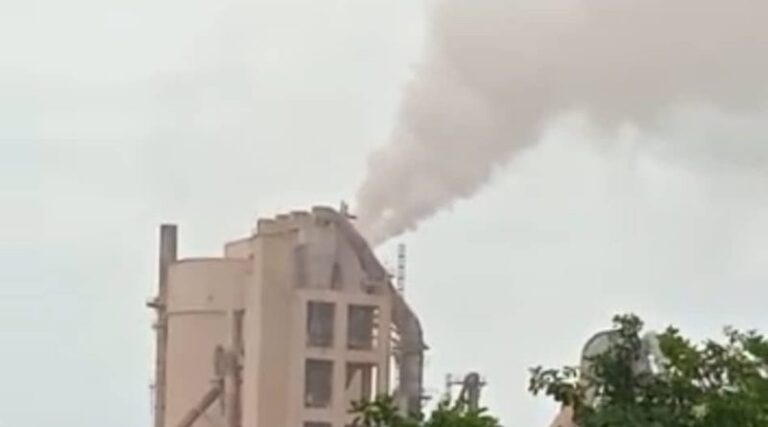 Falcón | En Cumarebo propagación del polvillo de Invecem afecta a varios sectores