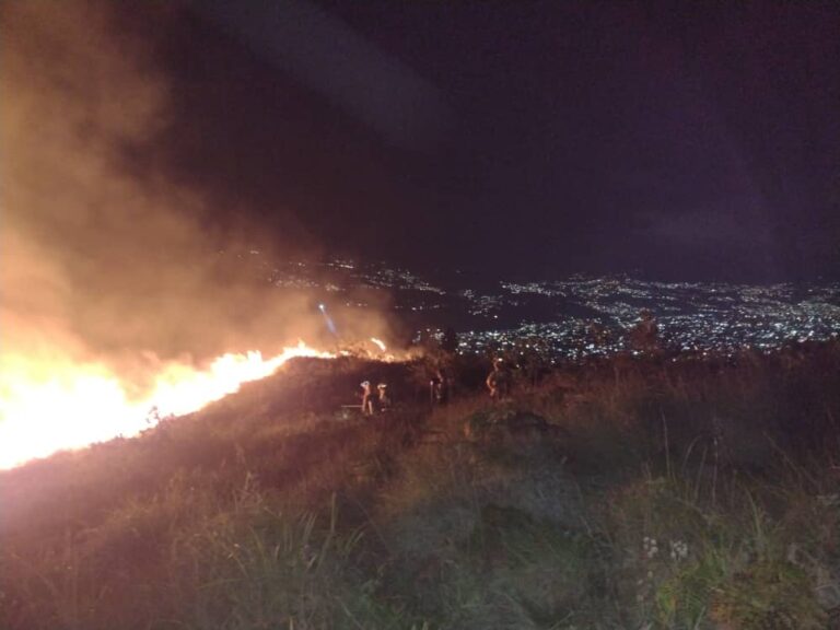 Luchan por apagar el incendio forestal en Loma de Pánaga