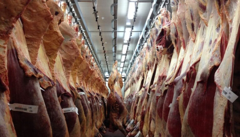 En Venezuela aumento el consumo de carne y lácteos