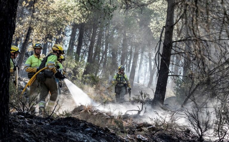 Más de 100 incendios forestales devastan el norte de España